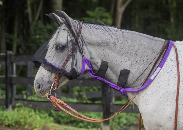 Horse Hoodie